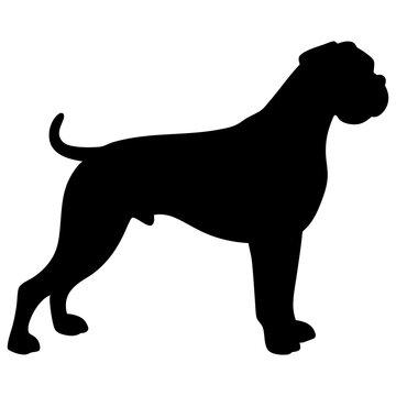 Noble Bloodline Logo